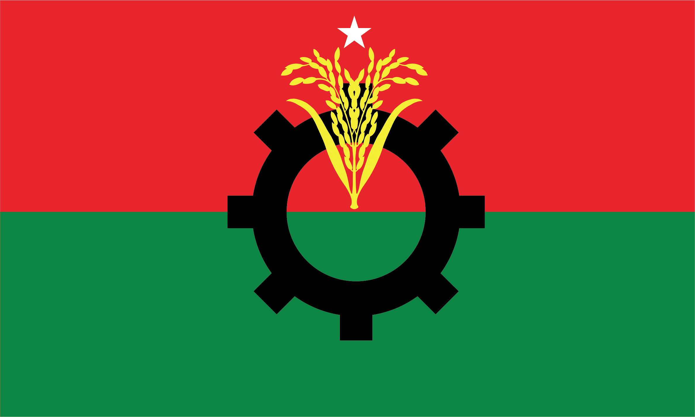 BNP Logo